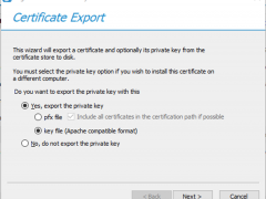 071819 1900 HowtoConver6 240x180 - How to Convert Windows SSL certificate PFX Format to PEM Format