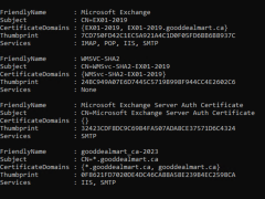 100723 1751 HowtoInstal10 240x180 - How to Install SSL Certificate for Exchange Server 2019
